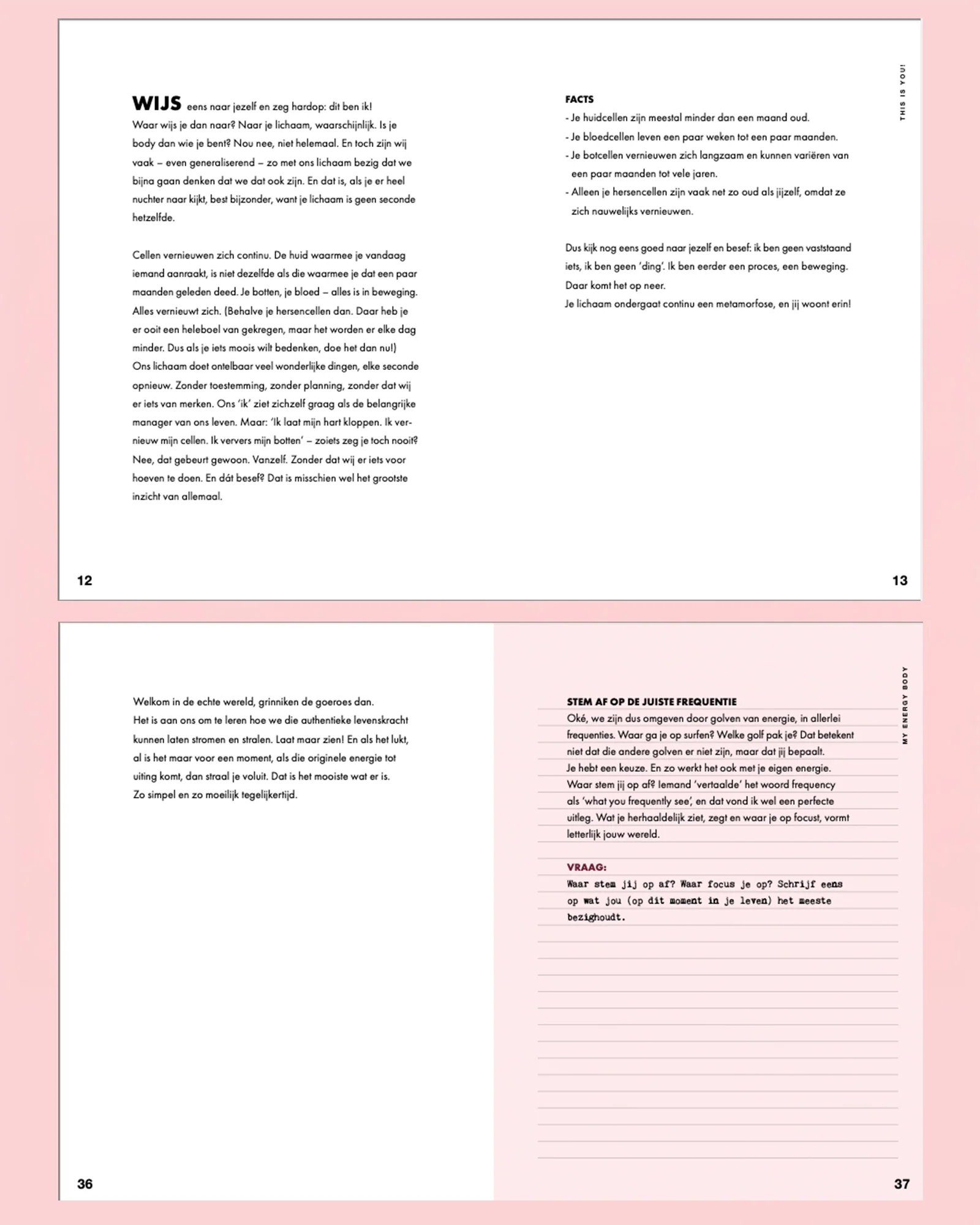Stieglitz Journal For More Energy | White - Image 3
